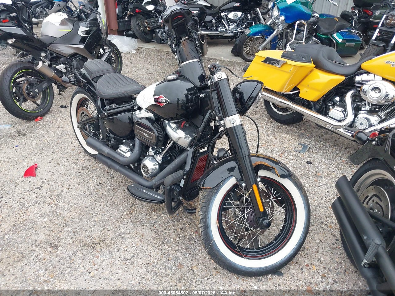 2019 Harley-Davidson softail