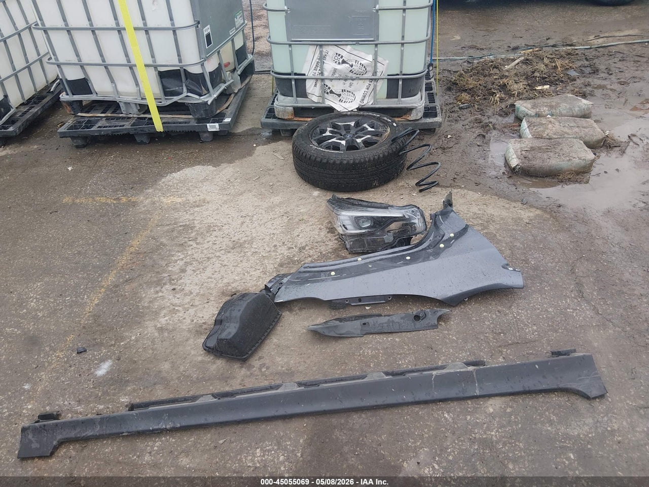 Image 12