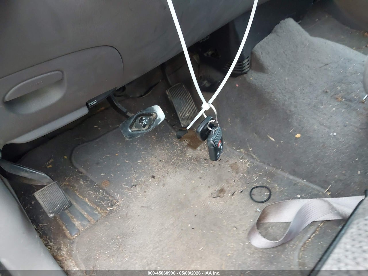 Image 11