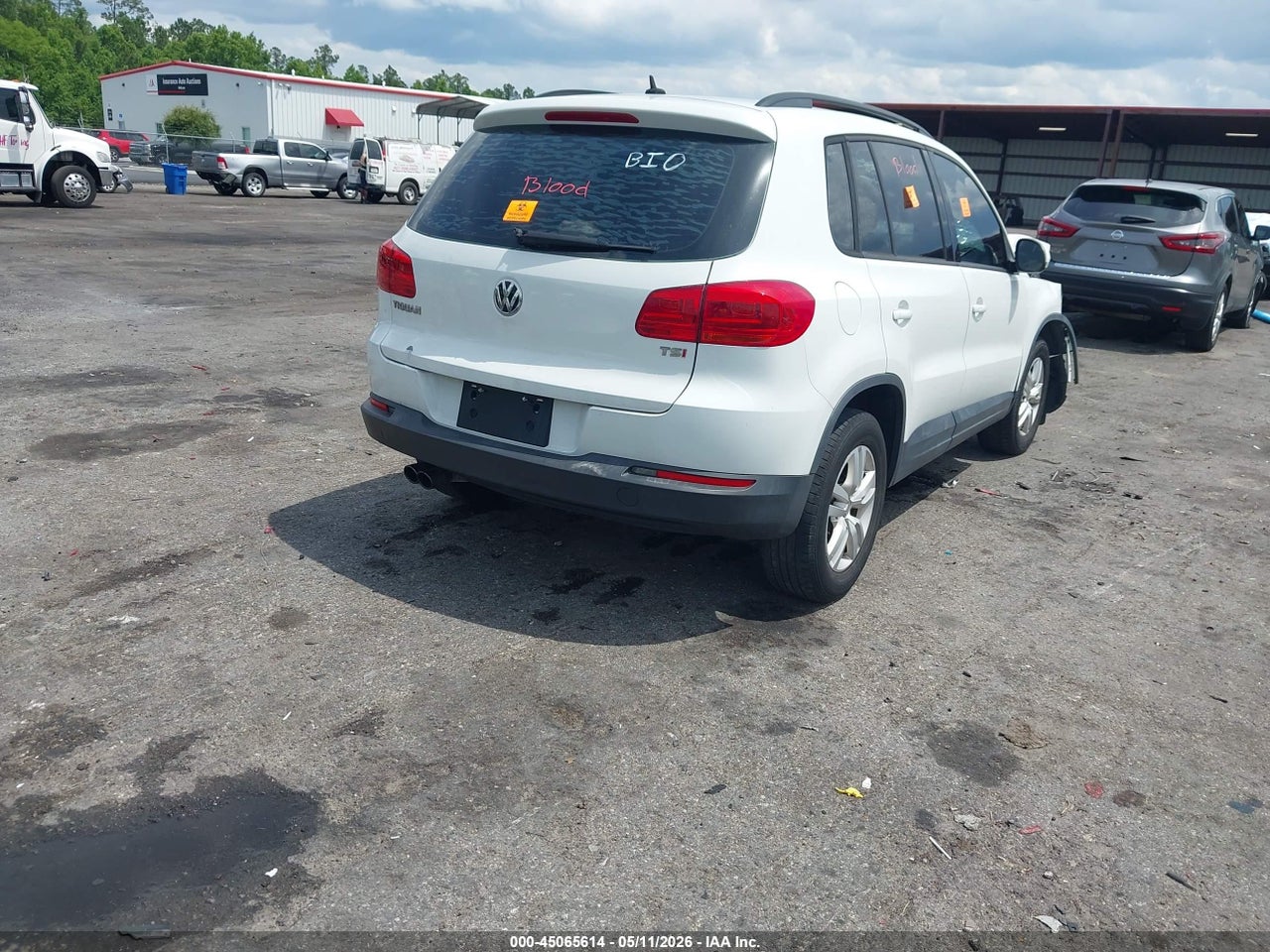Image 4