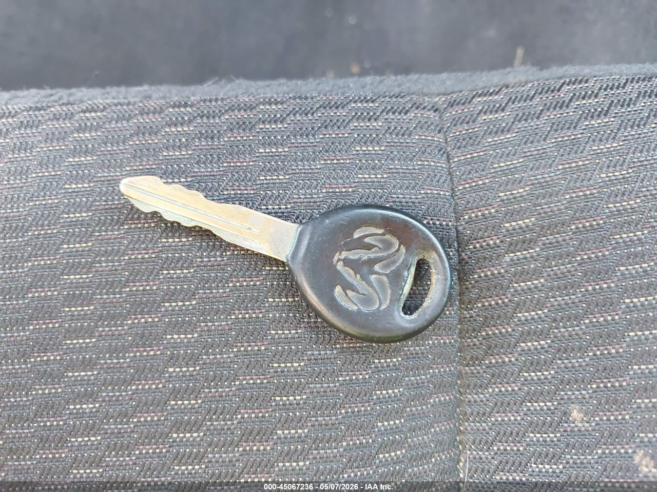 Image 11
