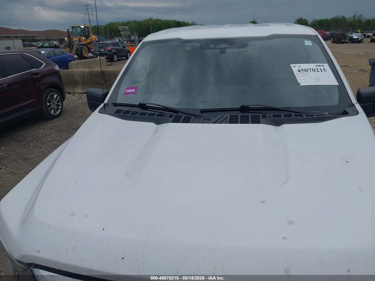 Image 6