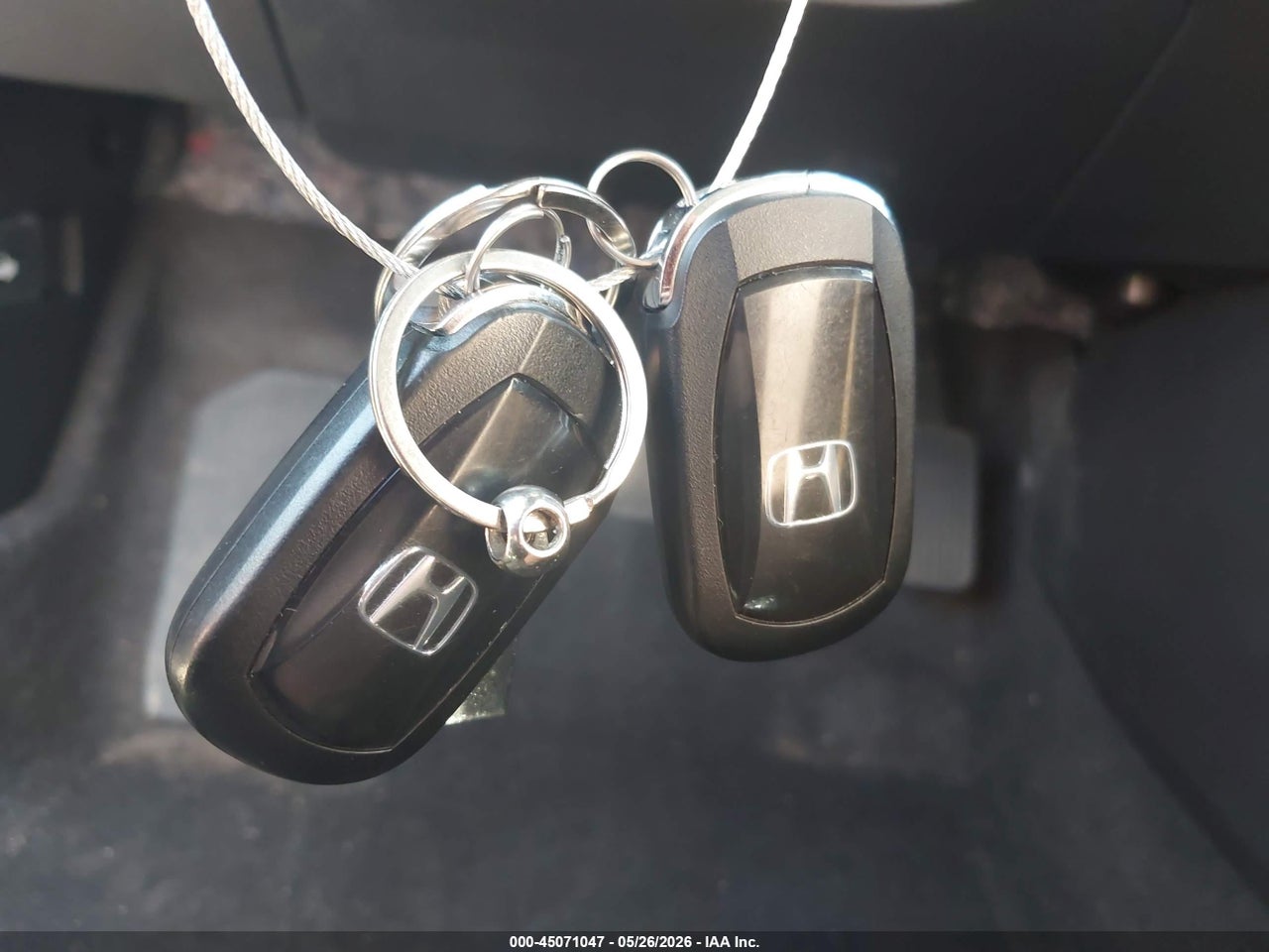 Image 11