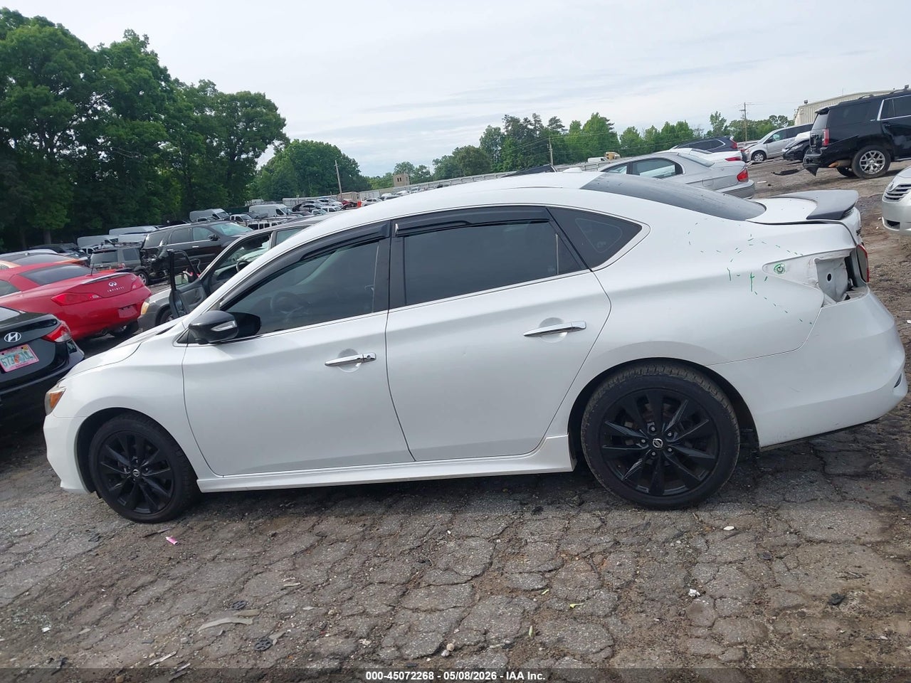 Image 15