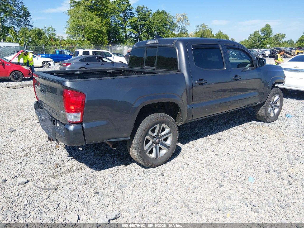Image 4