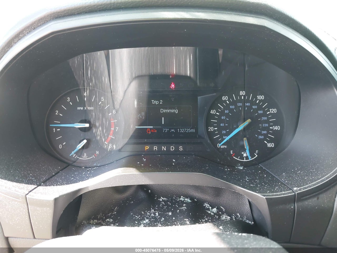 Image 7