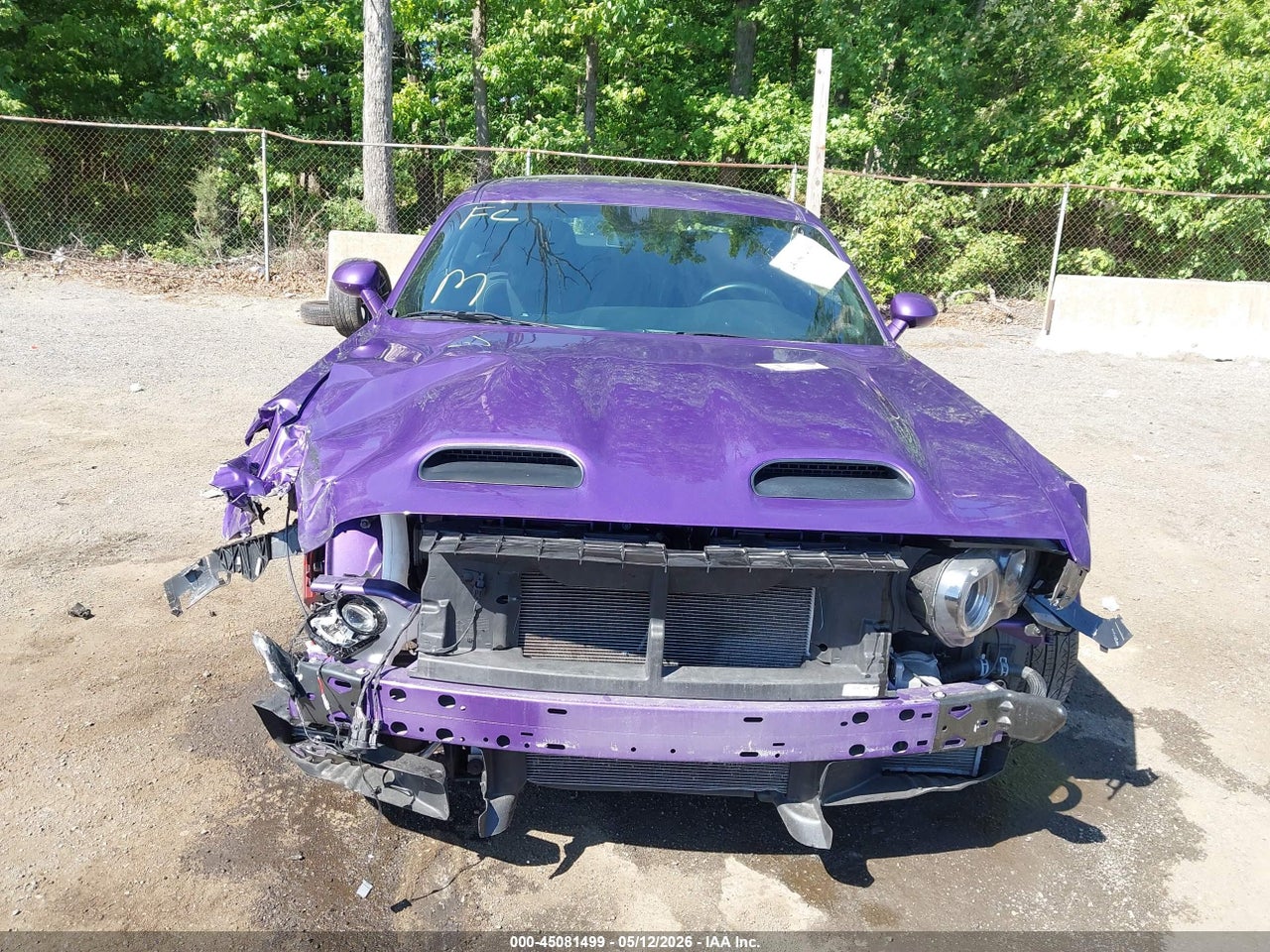 Image 13
