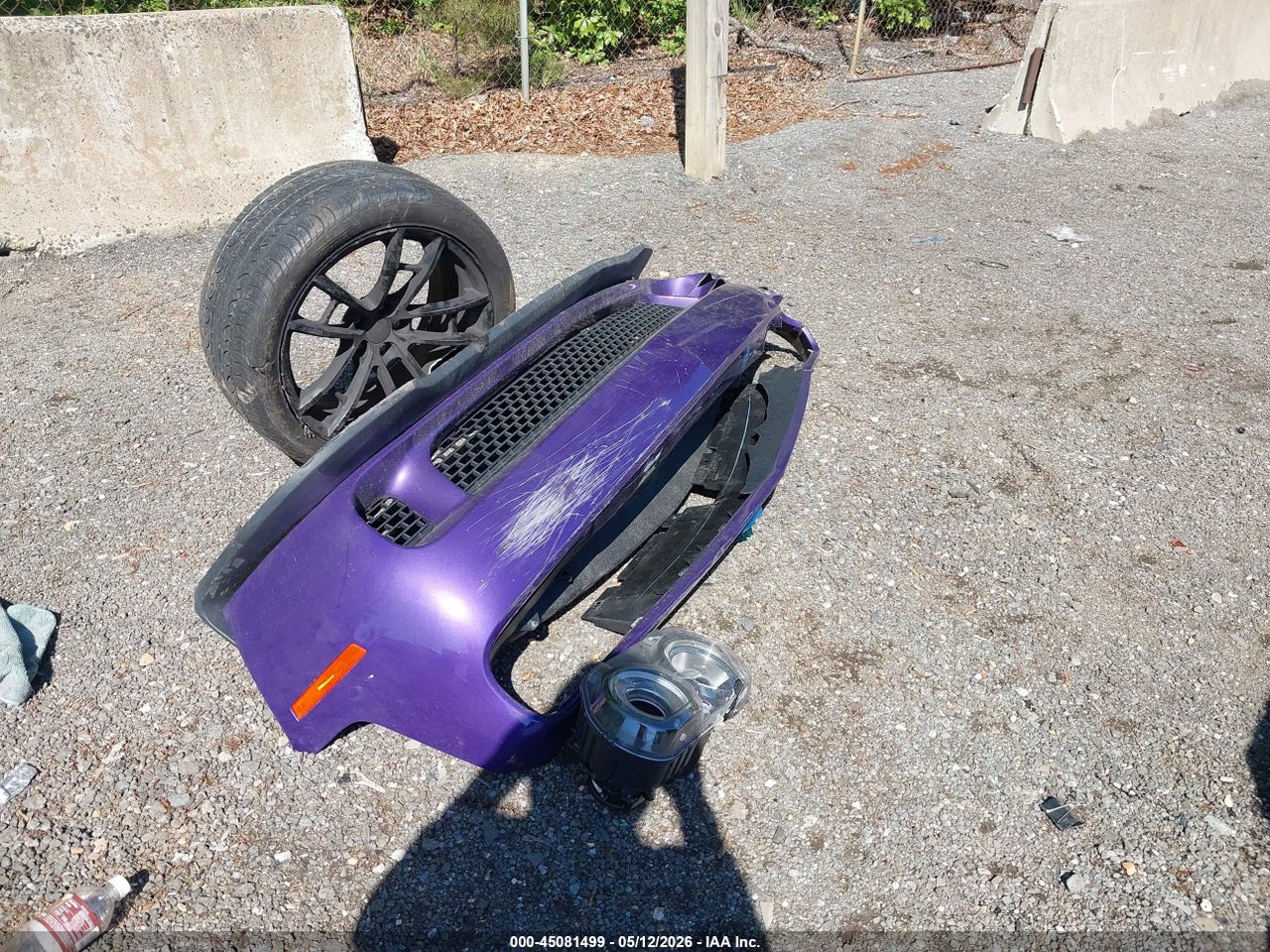 Image 12