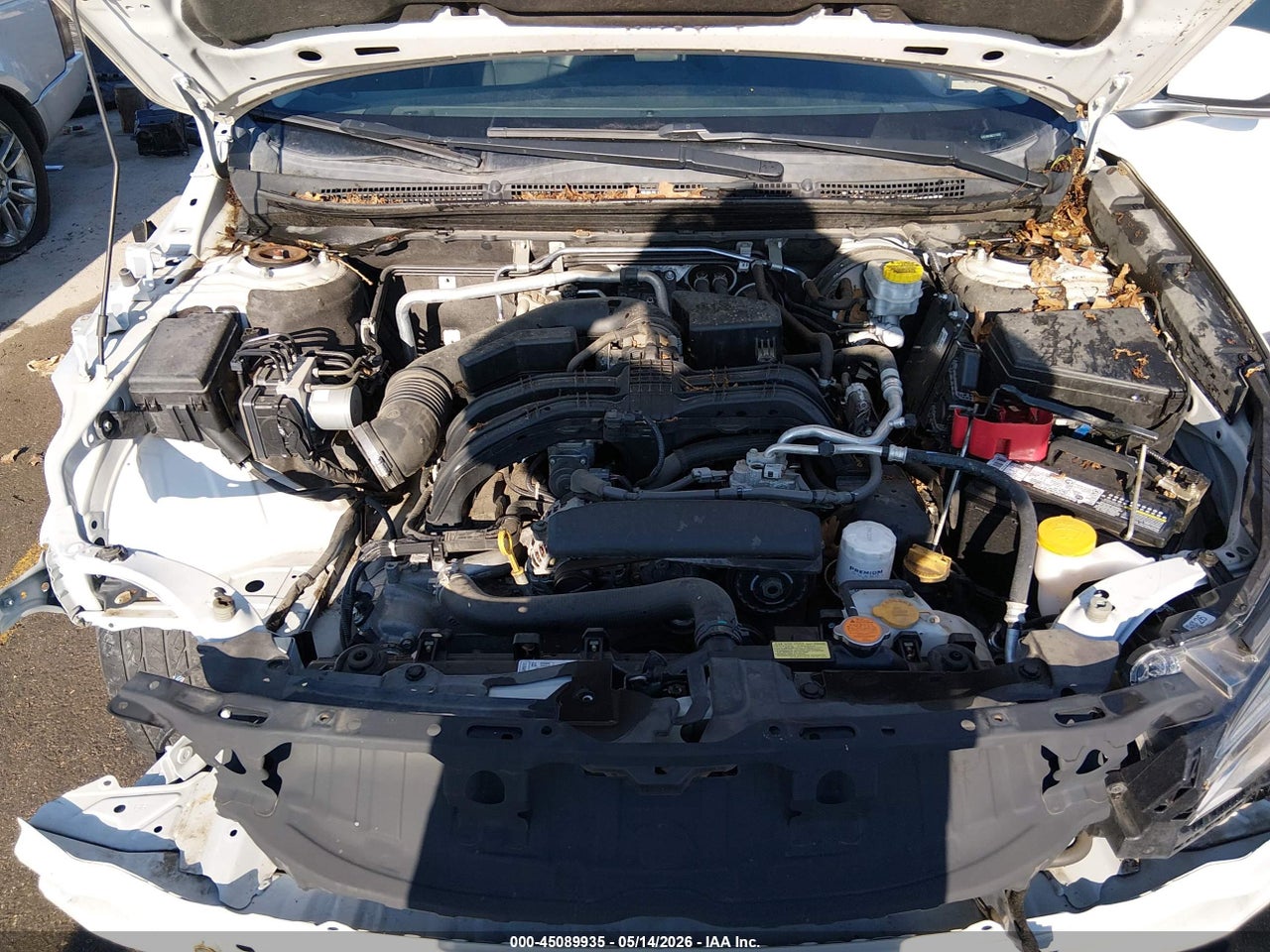 Image 10