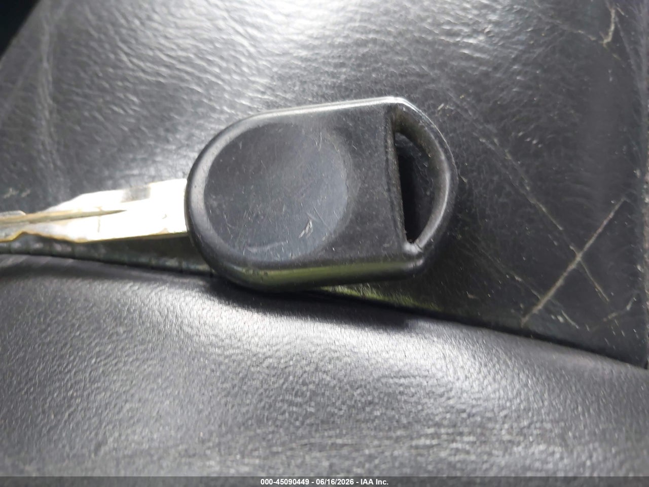 Image 11