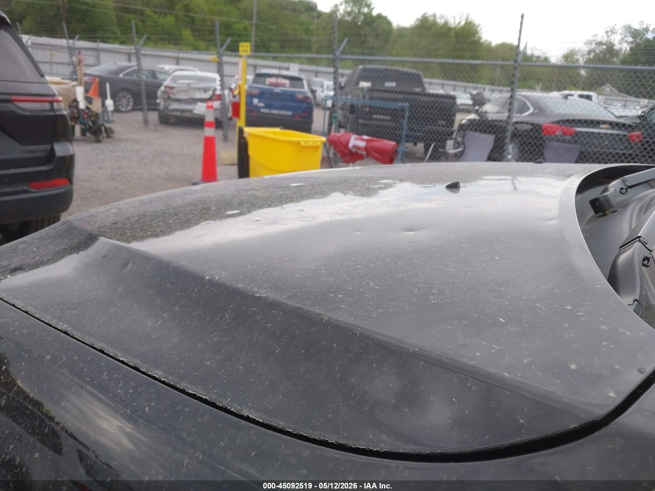 Image 6