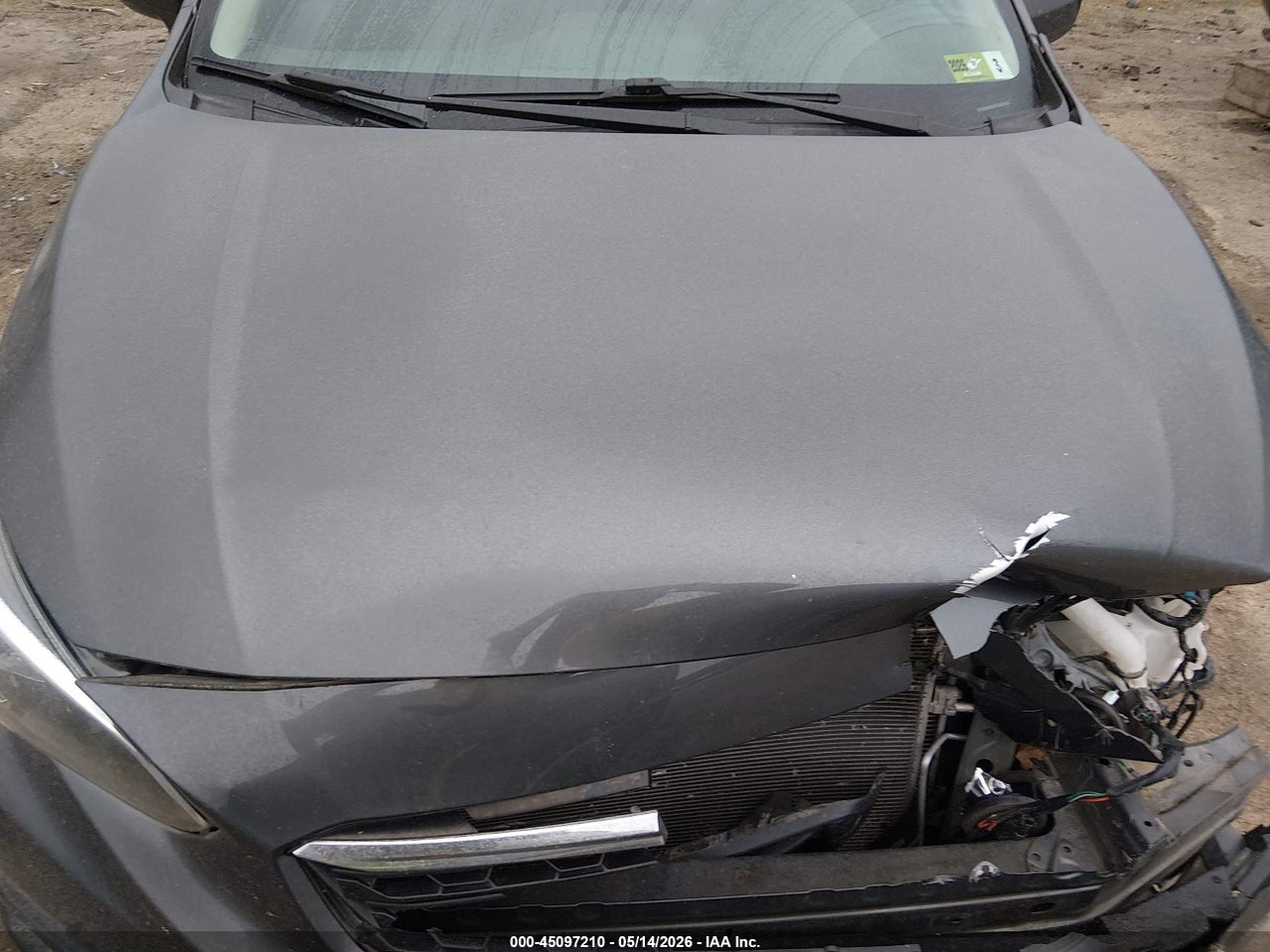 Image 10