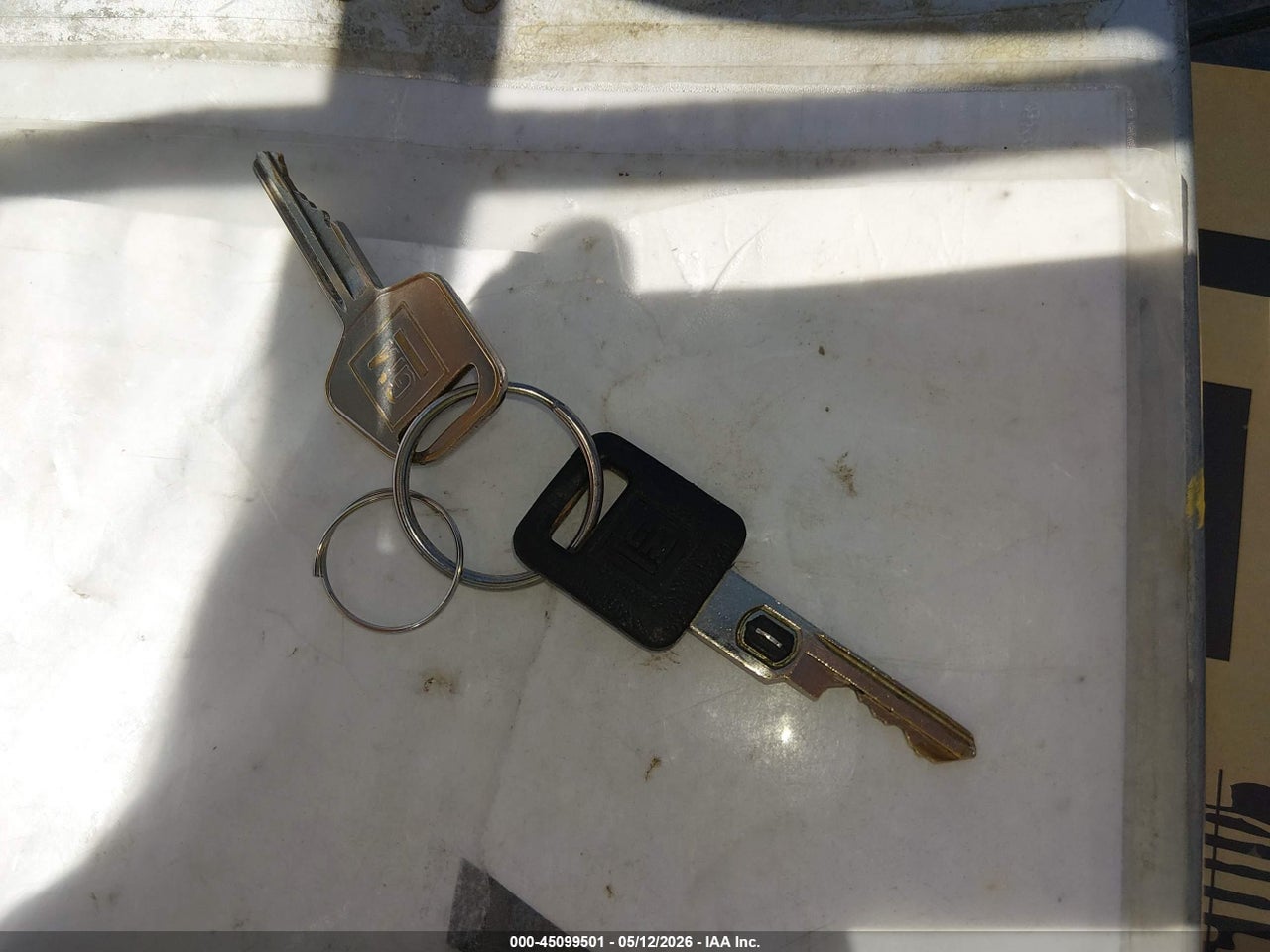 Image 11