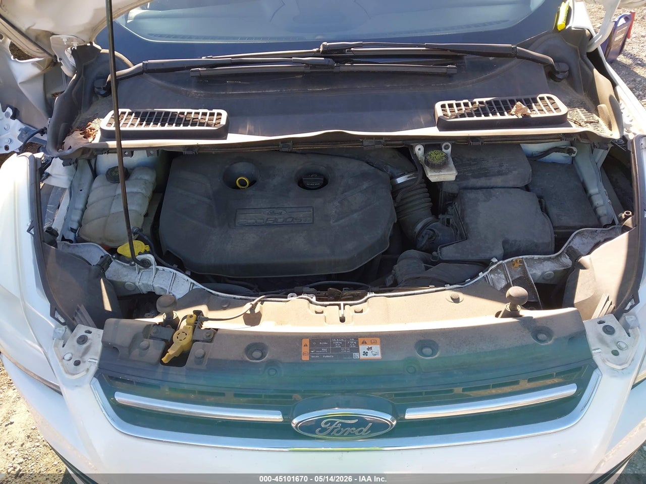 Image 10