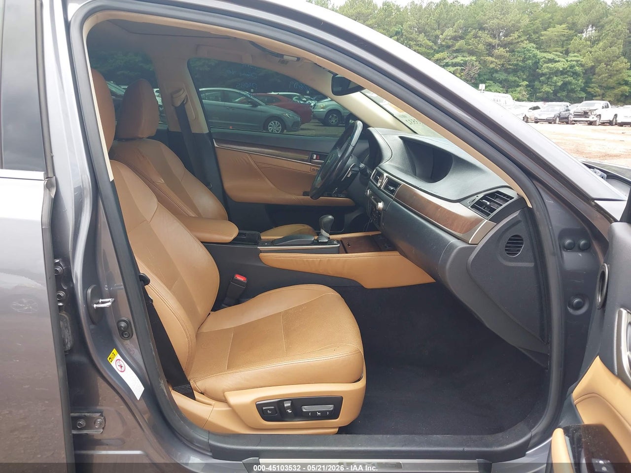 Image 5
