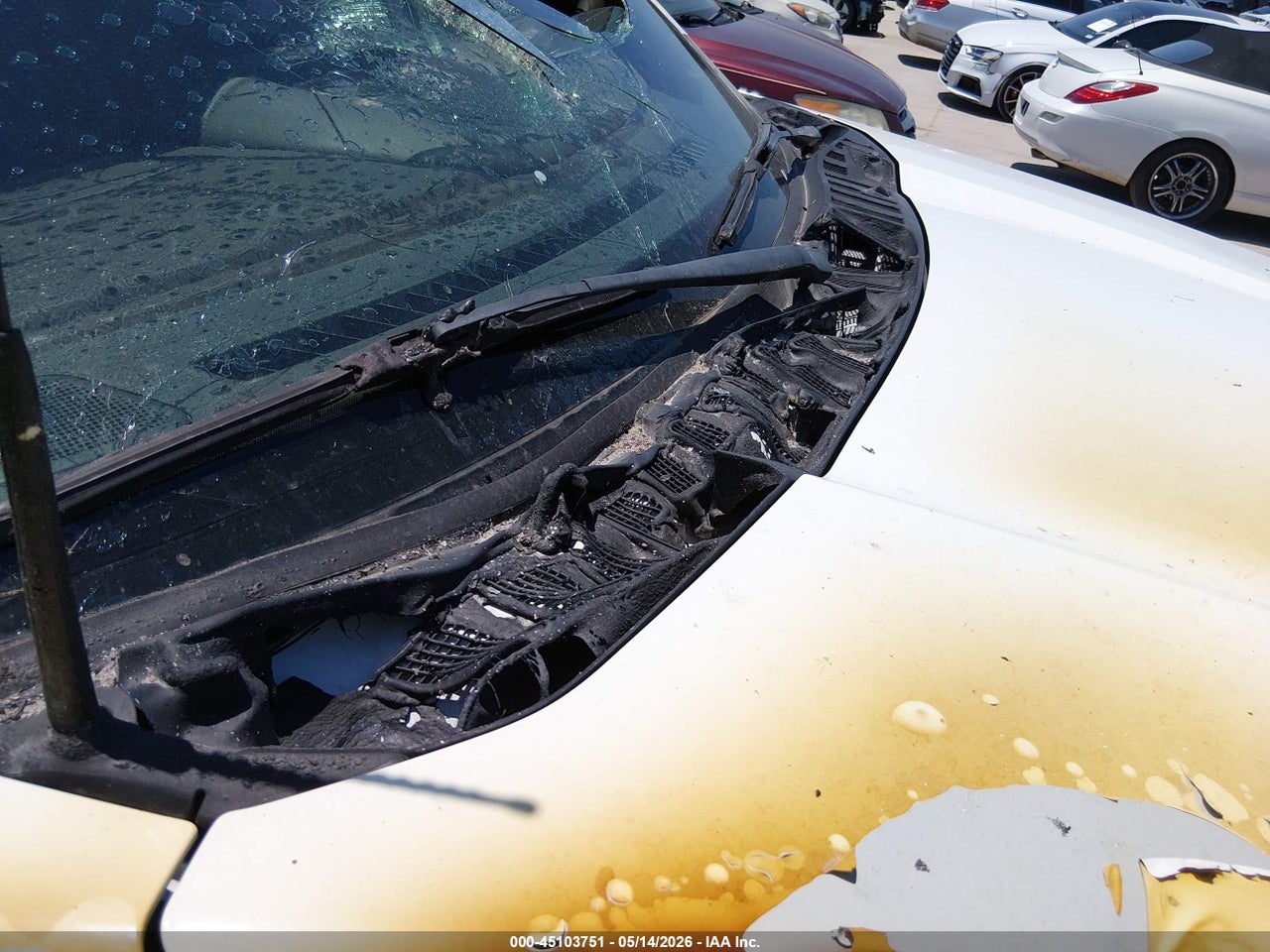 Image 18