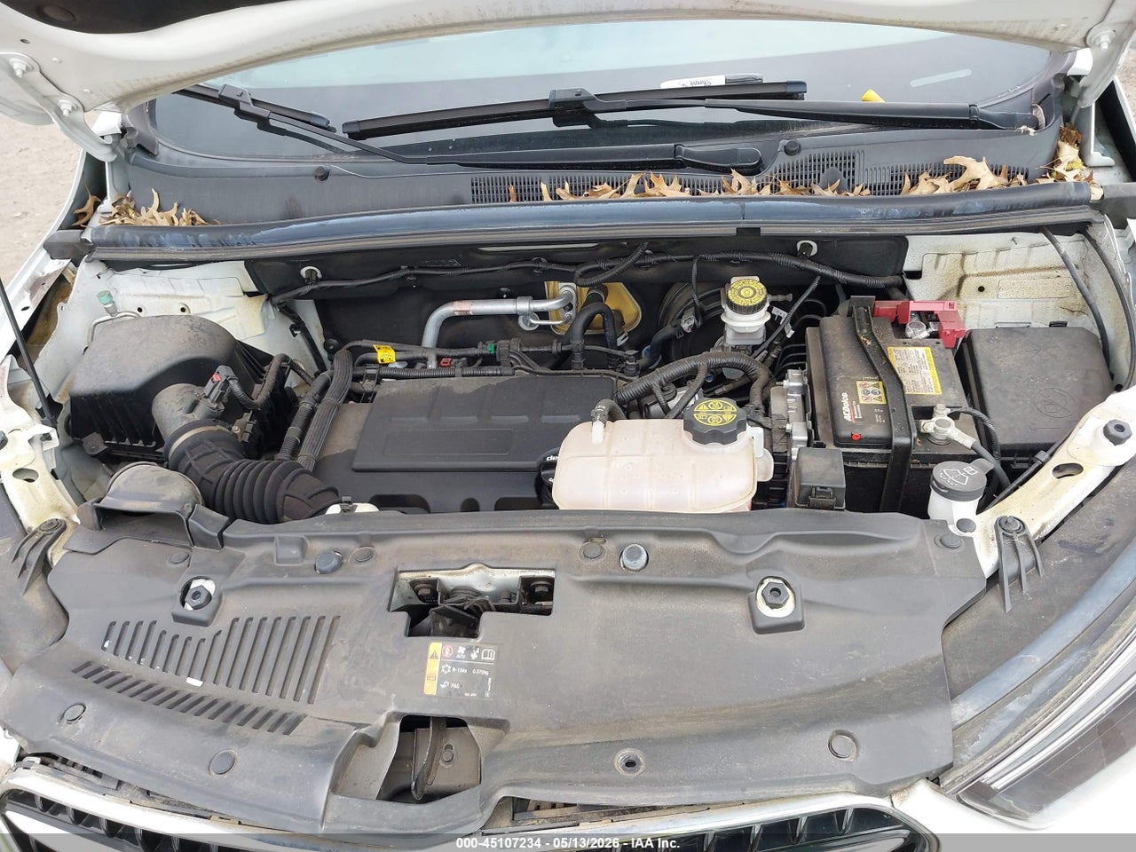 Image 10