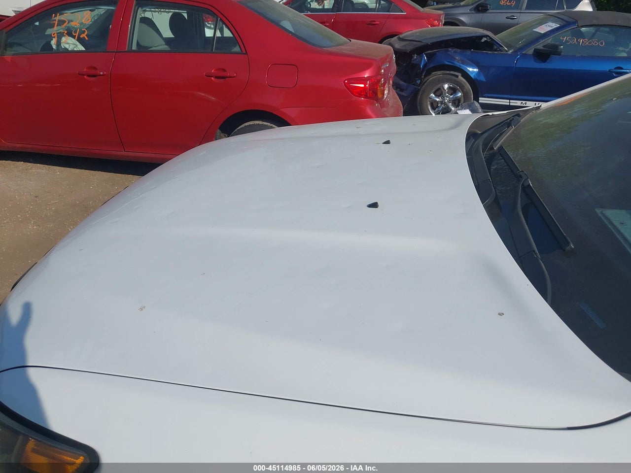 Image 6