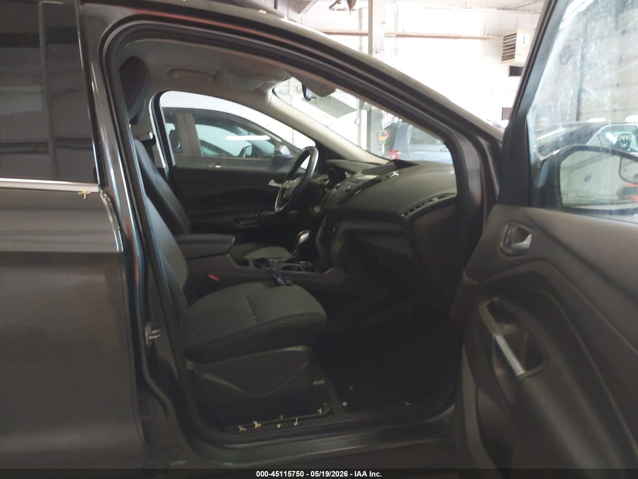 Image 5