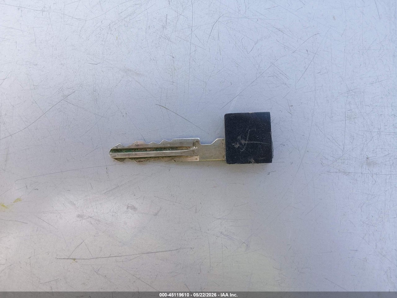 Image 11