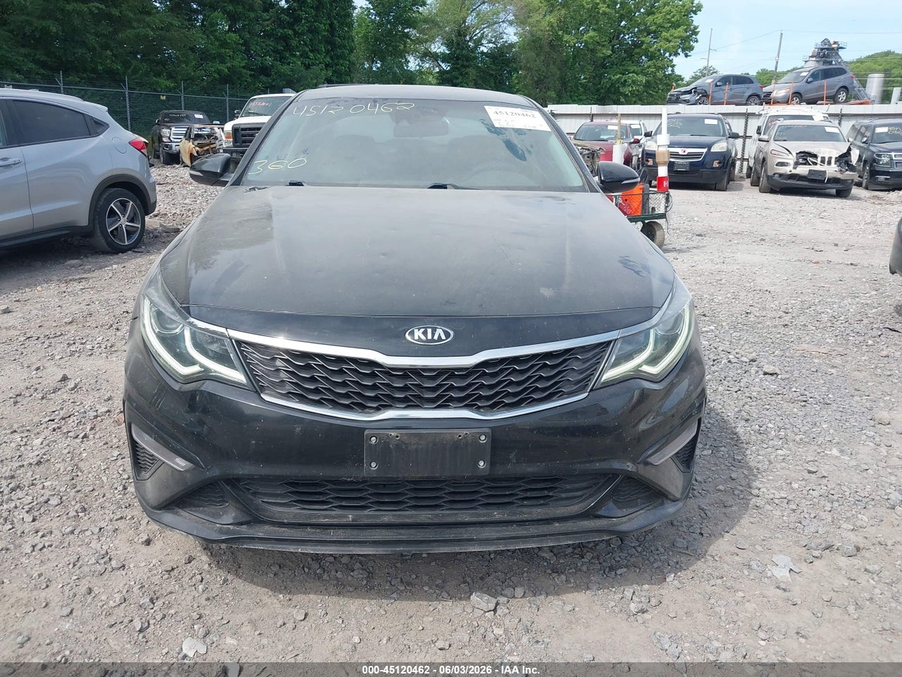 Image 12
