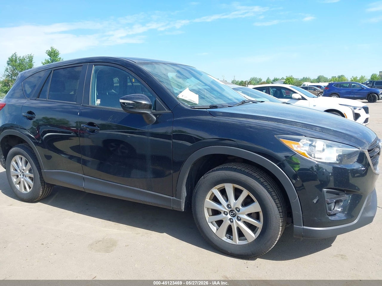 Image 13