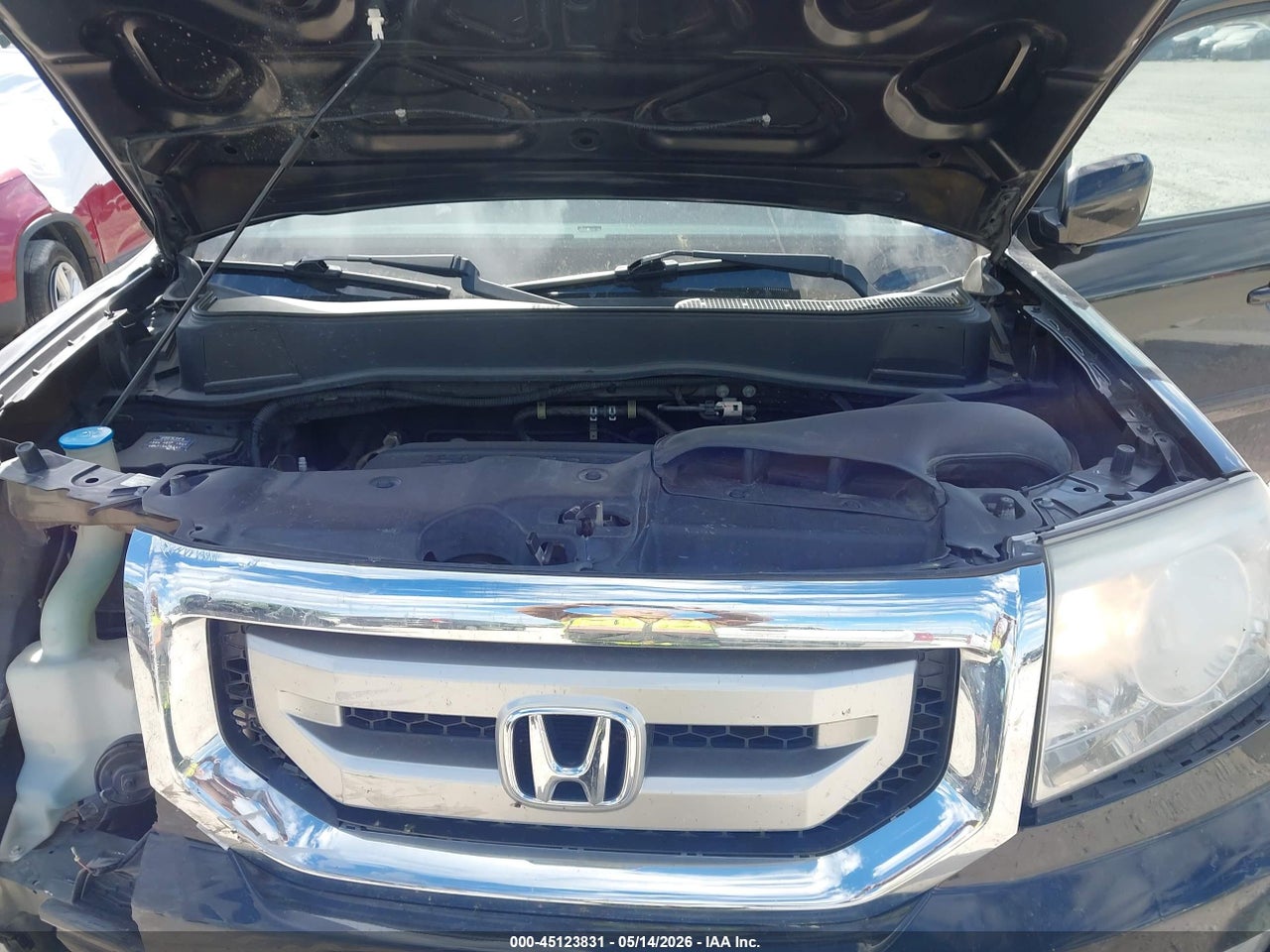 Image 10