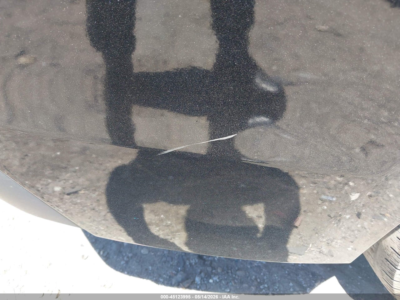 Image 17