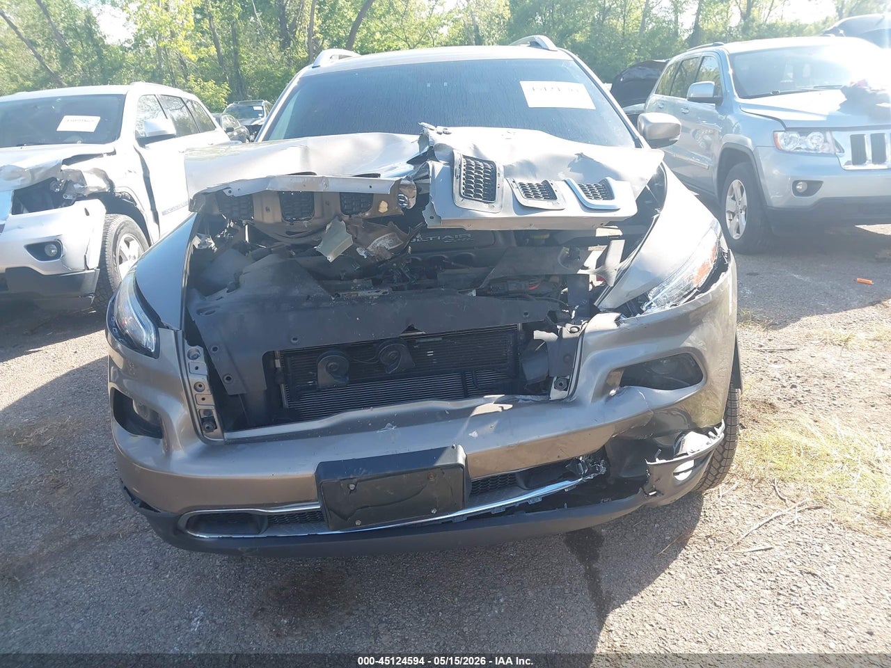 Image 12