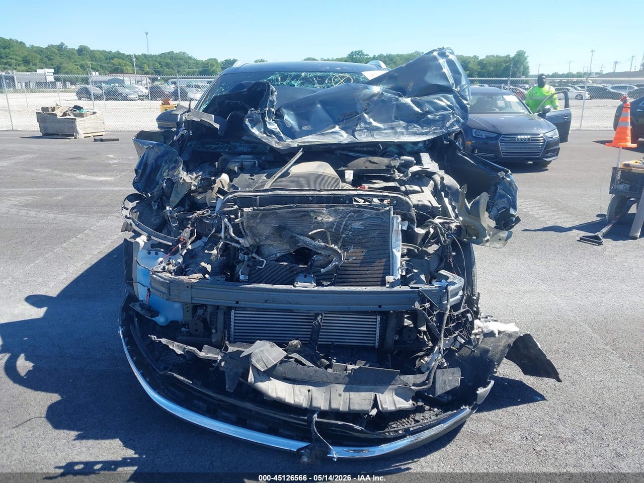 Image 12