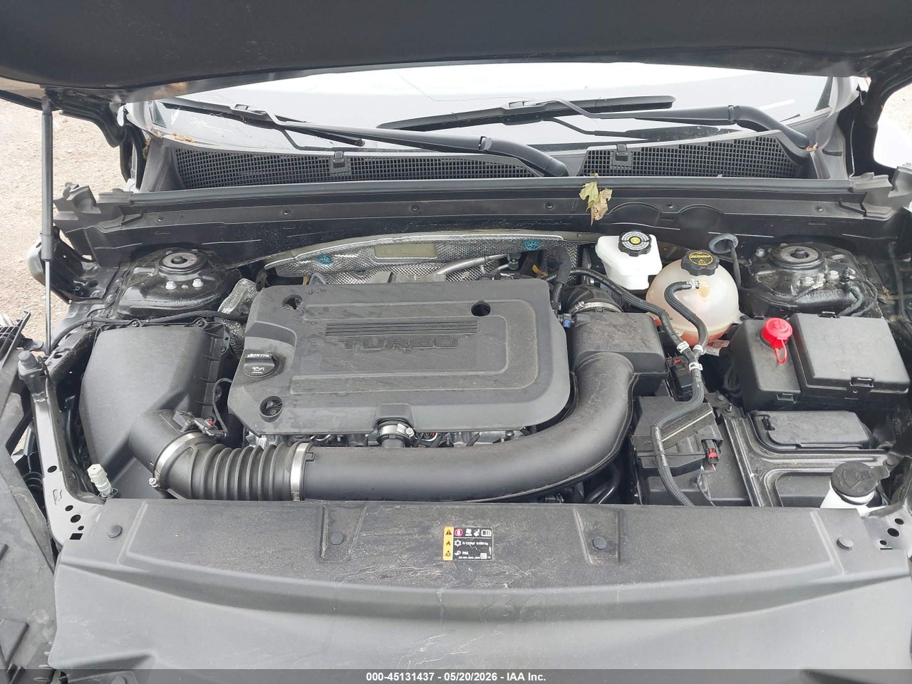 Image 10
