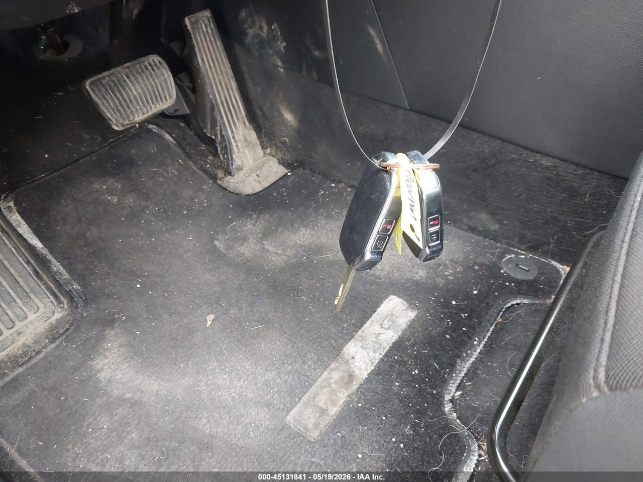 Image 11