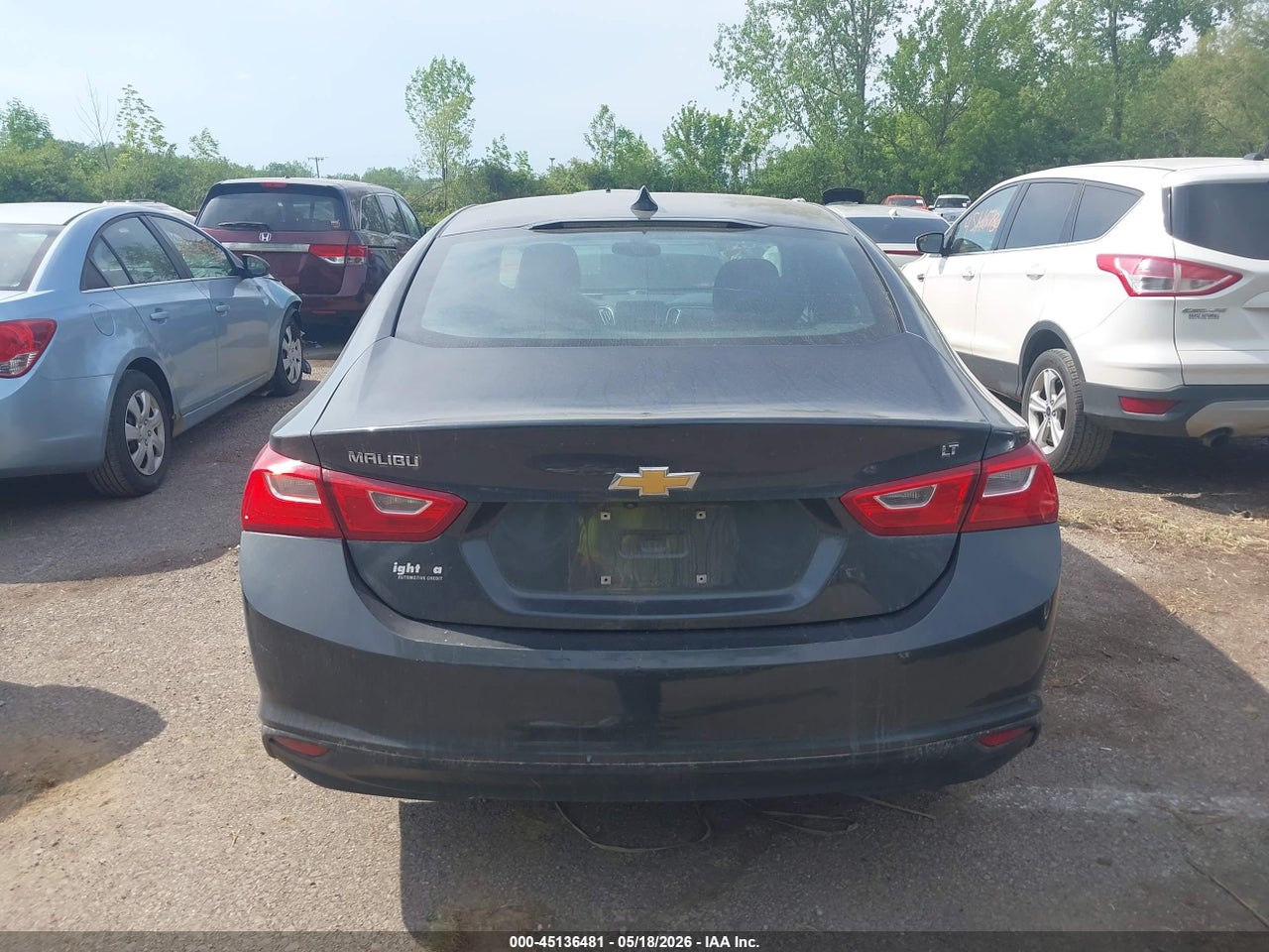 Image 17