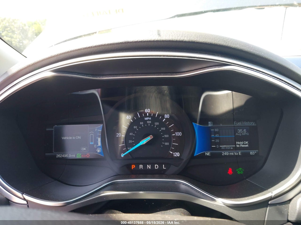 Image 7