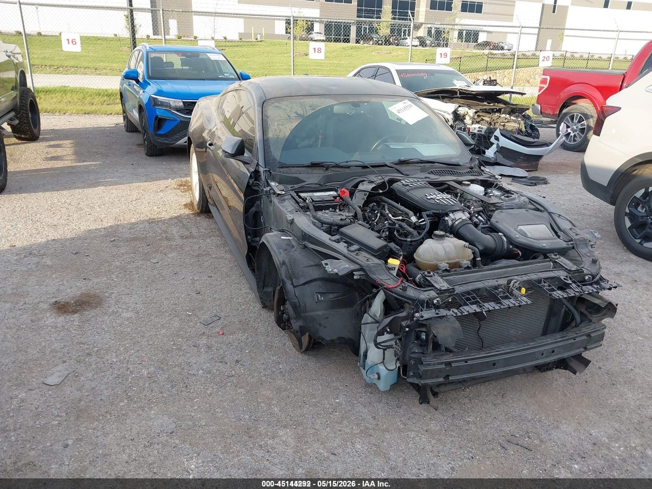 2019 Ford Mustang