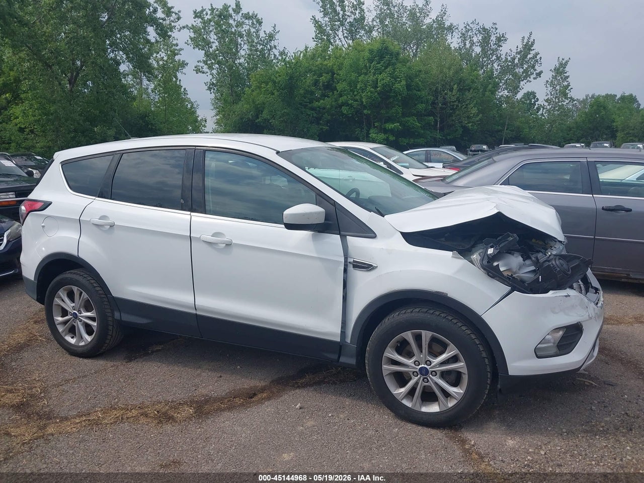 Image 13