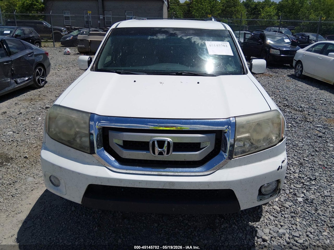 Image 12