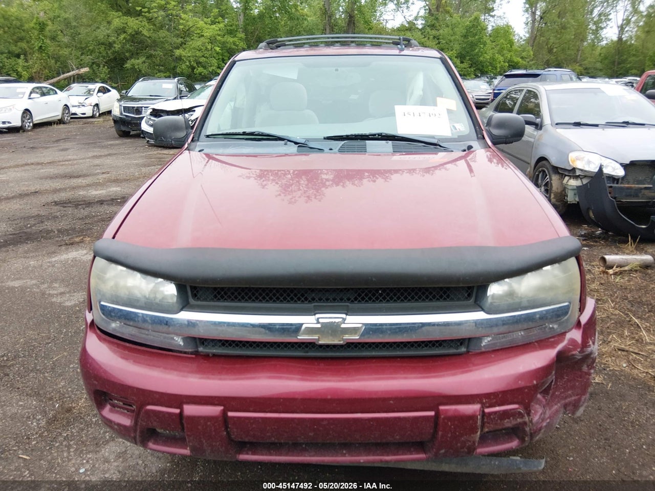 Image 12