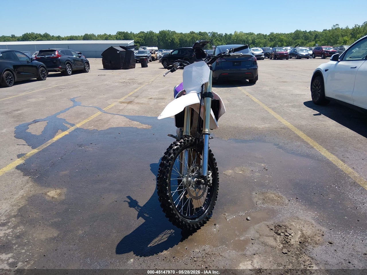 Image 5