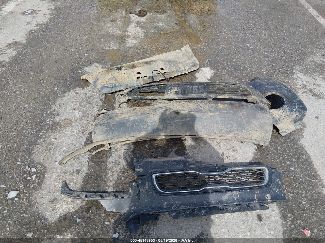 Image 12