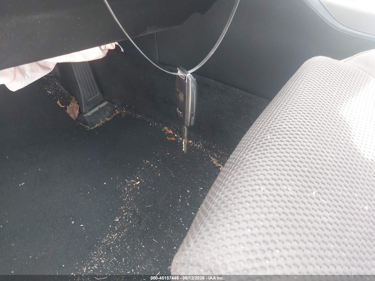 Image 11