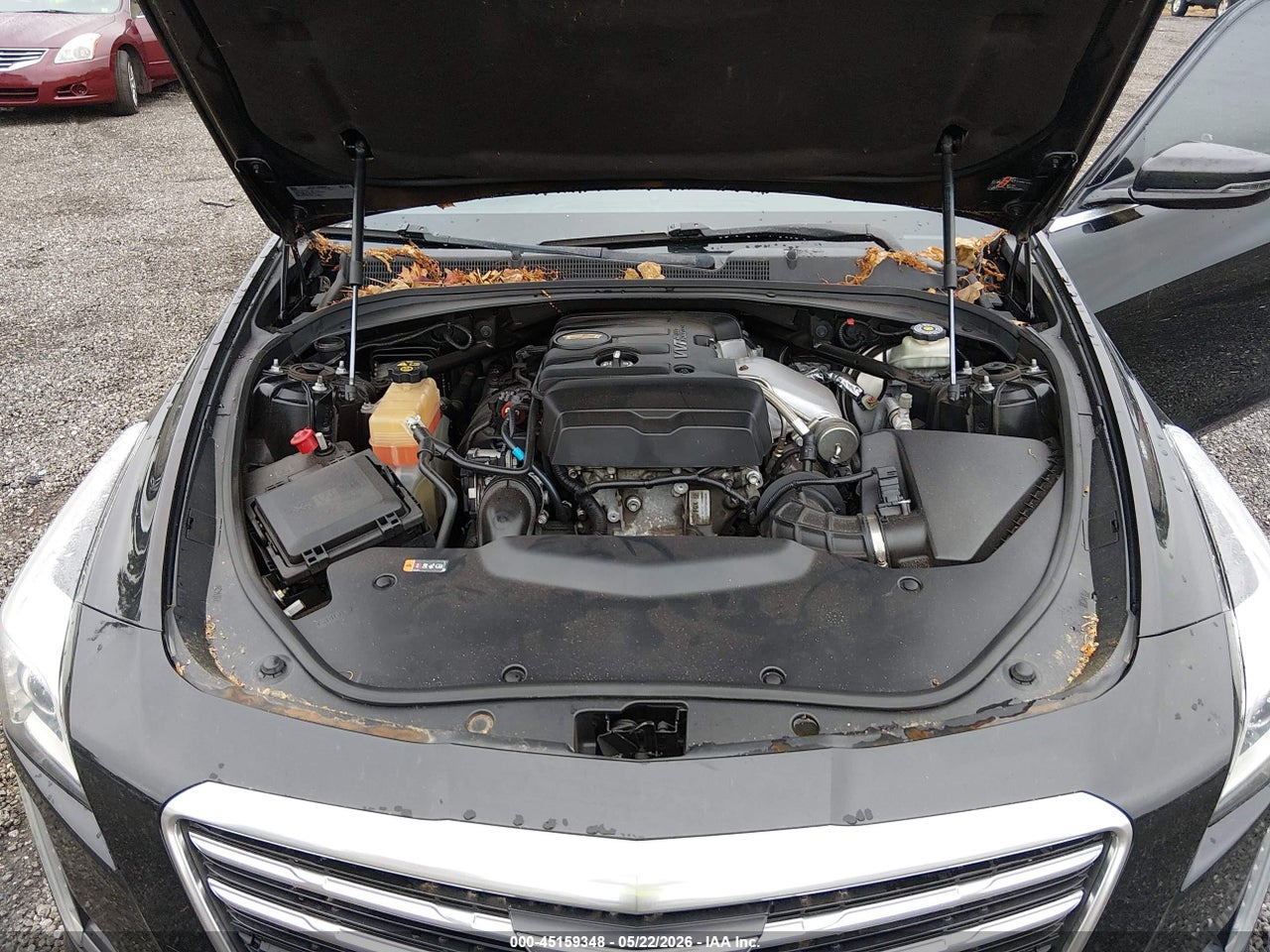 Image 10