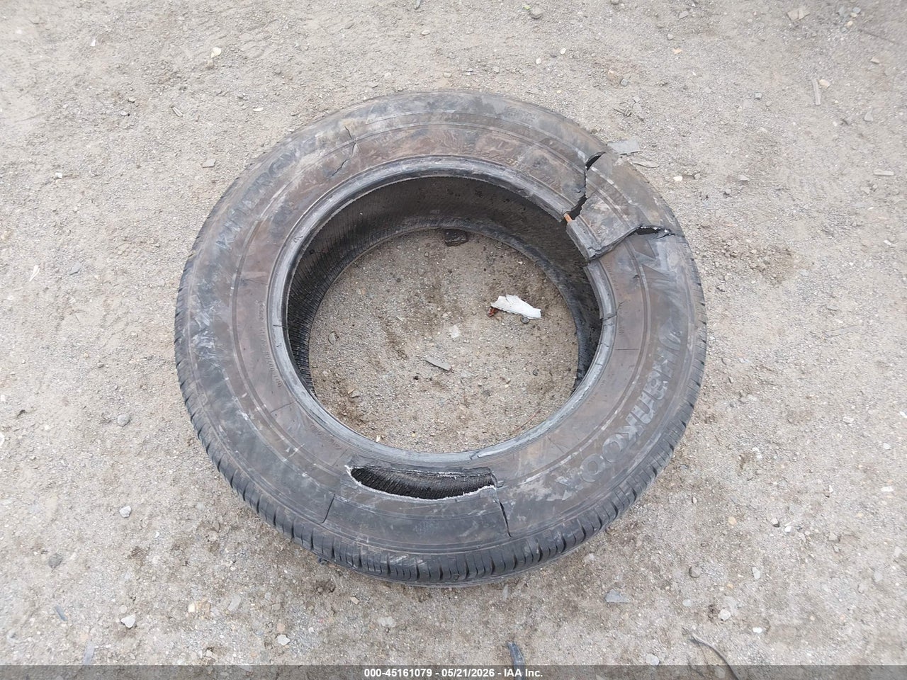 Image 12