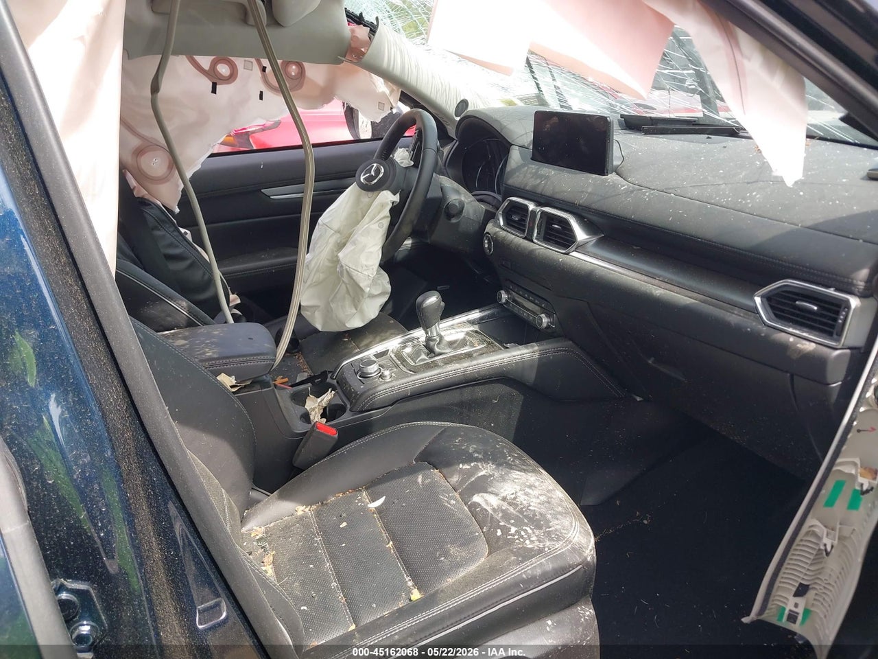 Image 5