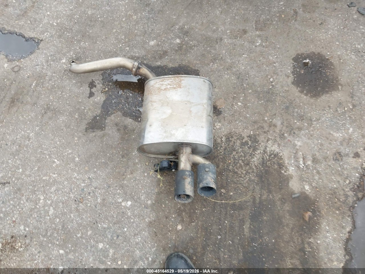 Image 11