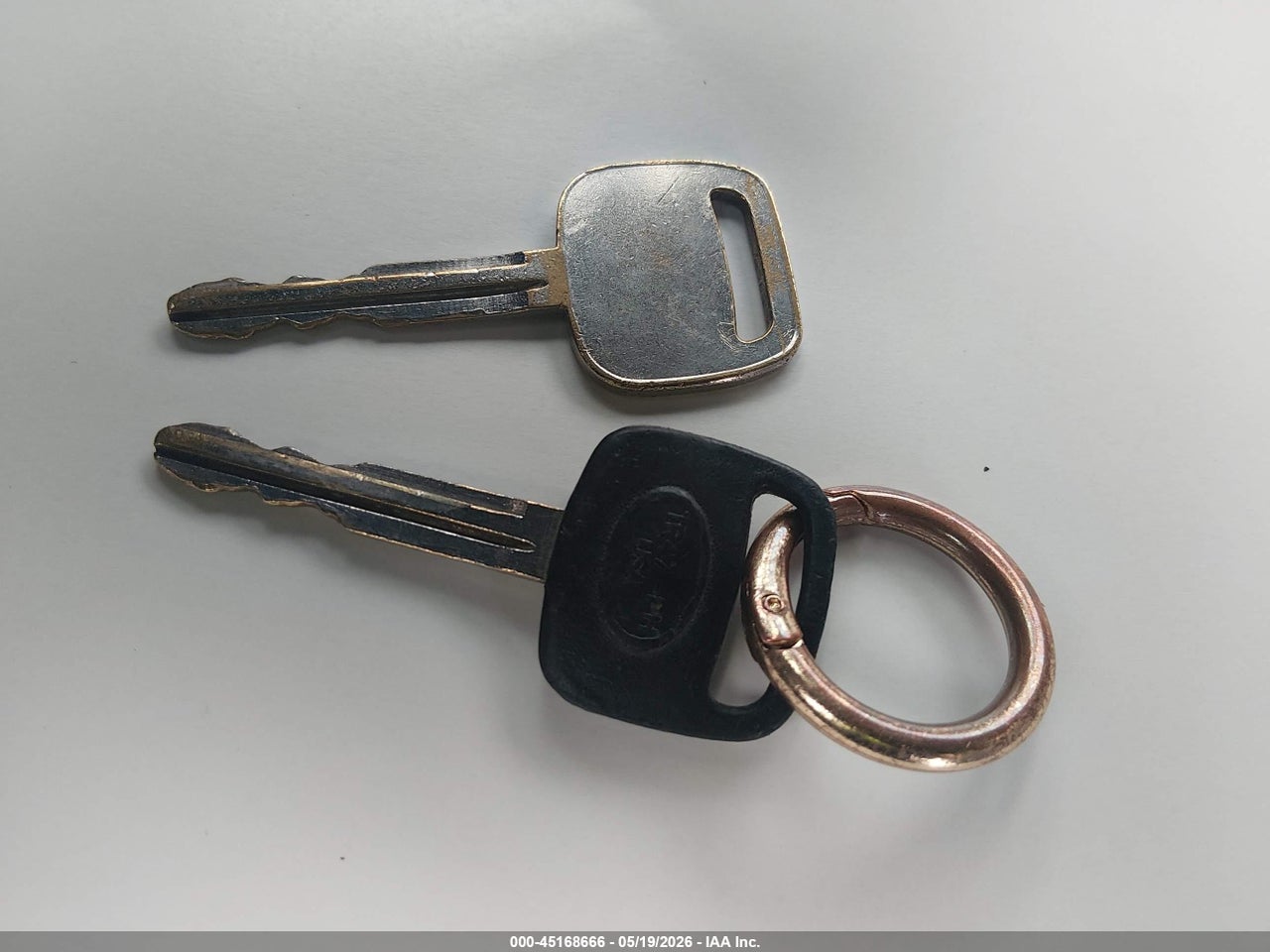 Image 11