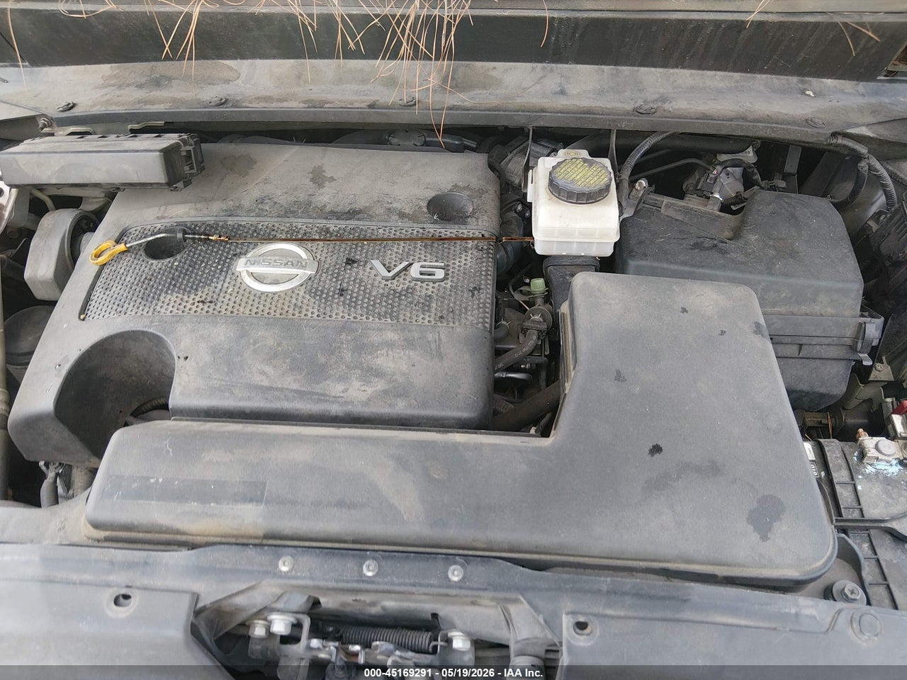 Image 6