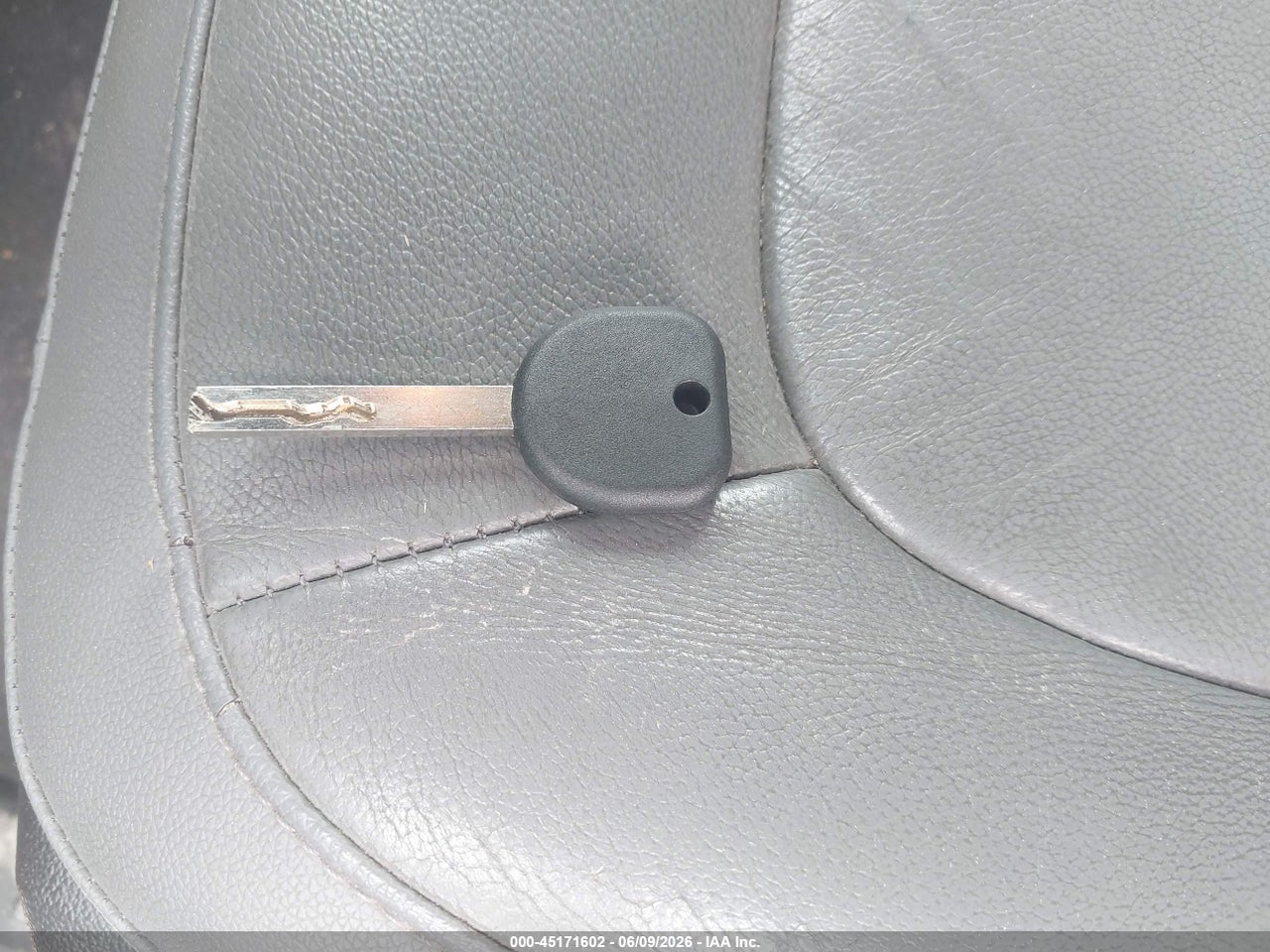 Image 11