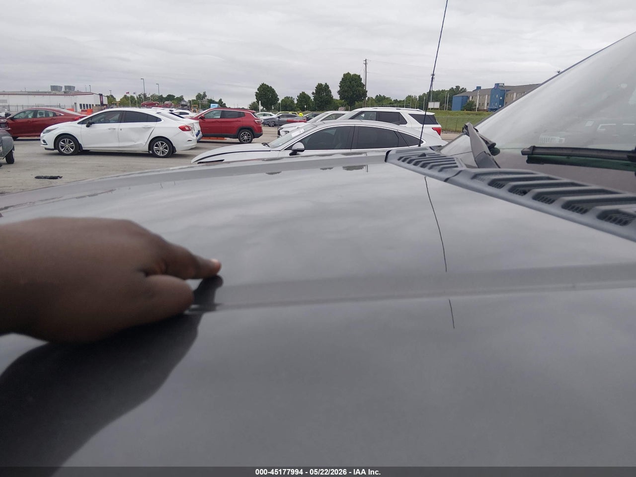 Image 6