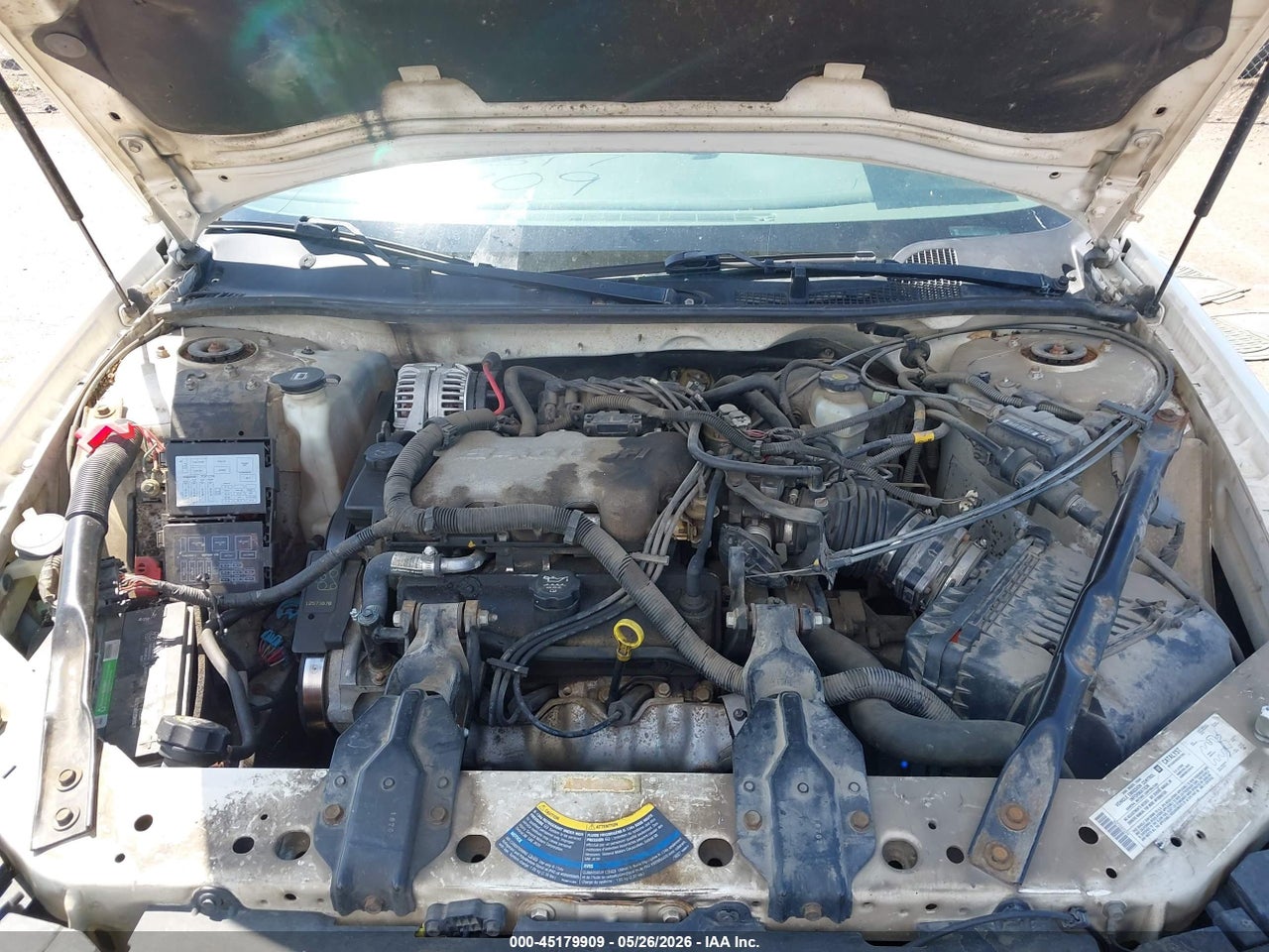 Image 10